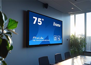 iiyama Display