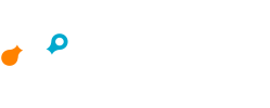 Netskope logo