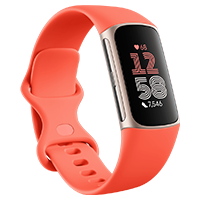 Fitbit product