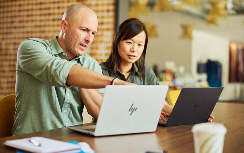 Team working using hp laptop