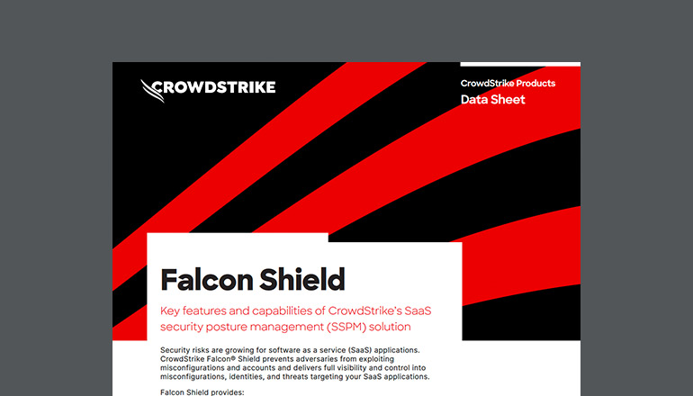 Article Falcon Shield Image