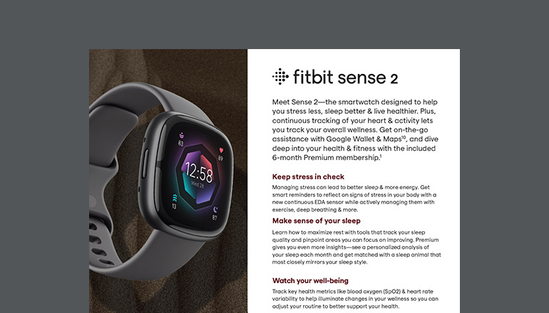 Article Fitbit Sense 2 Image