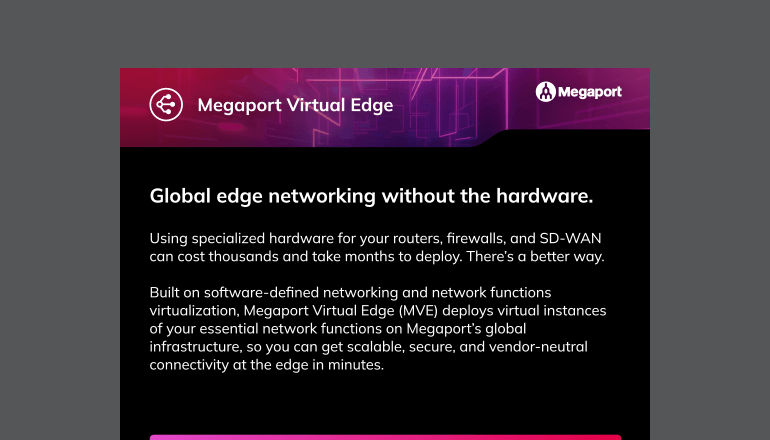 Article Megaport Virtual Edge Image