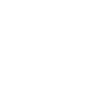Security first shield icon