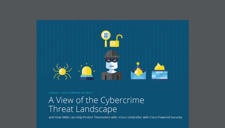 Article A View of the Cybercrime Threat Landscape Image