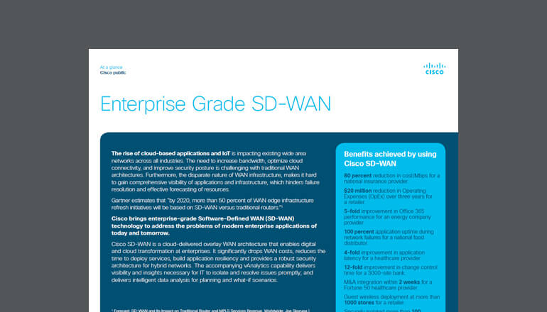 Article Enterprise Grade SD-WAN Image