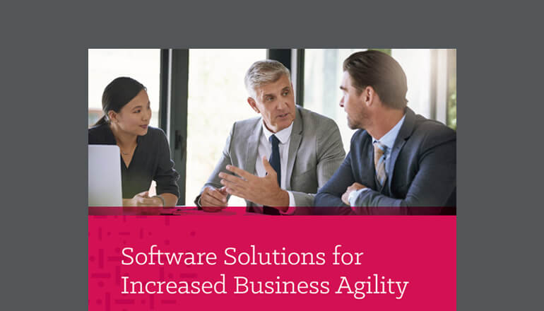 Article Software Solutions for Increased Business Agility Image