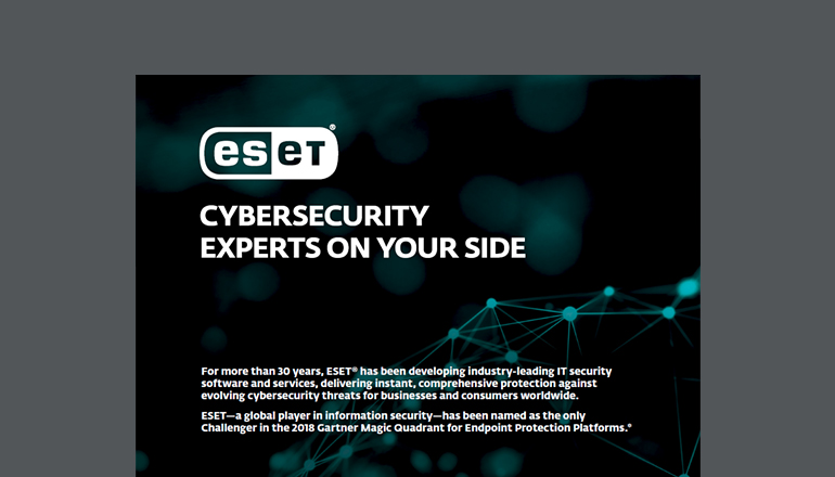 Article Cybersecurity Experts on Your Side Image