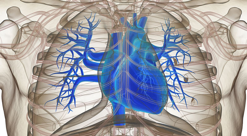 Article Improving the Lives of Heart Transplant Patients With Mobile Devices Image