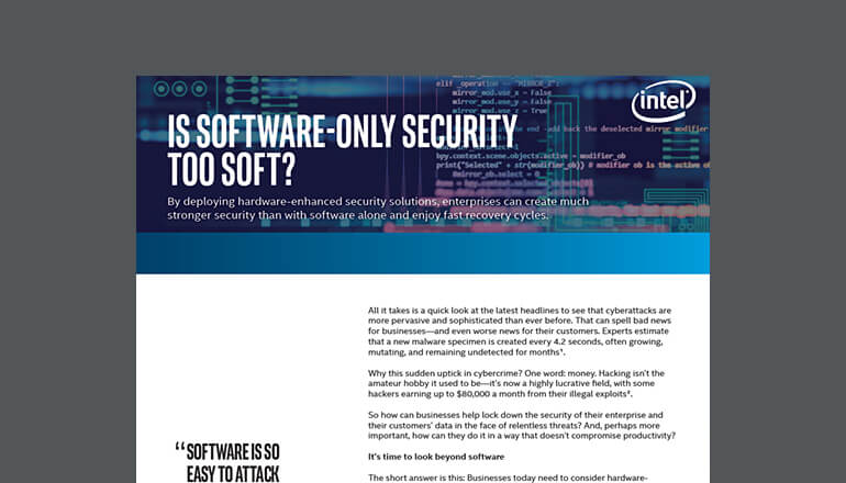 Article Is Software-Only Security Too Soft? Image