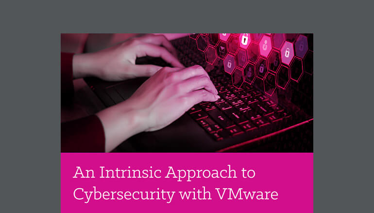 Article An Intrinsic Approach to Cybersecurity Image