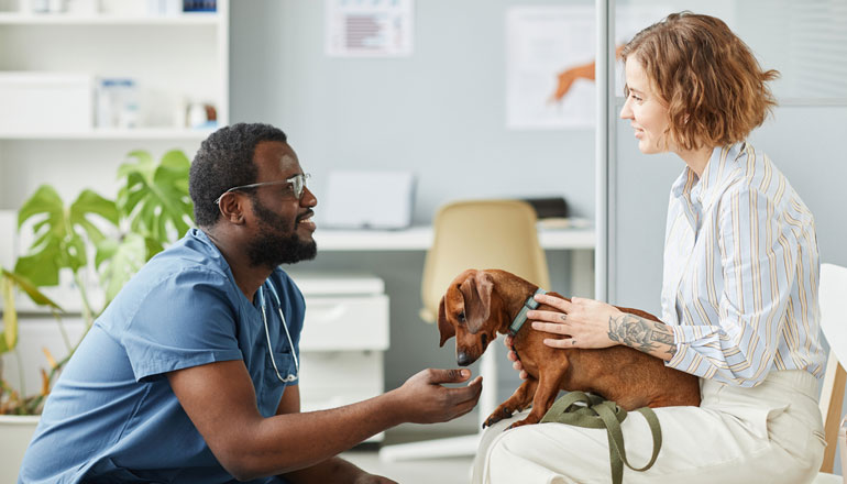 Article Veterinary Firm Moves Toward the Future of Pet Health Image