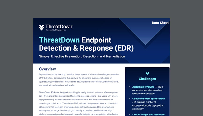 Article ThreatDown Endpoint Detection & Response (EDR)  Image