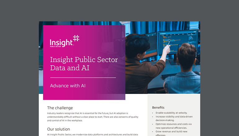 Article Insight Public Sector Data and AI Image