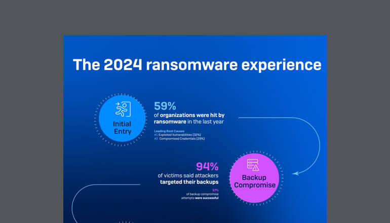 Article The 2024 Ransomware Experience Image