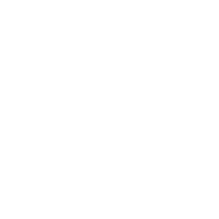 security icon