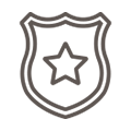 State badge icon