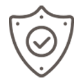 Data security icon