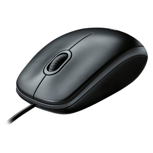 Front facing image of a mice