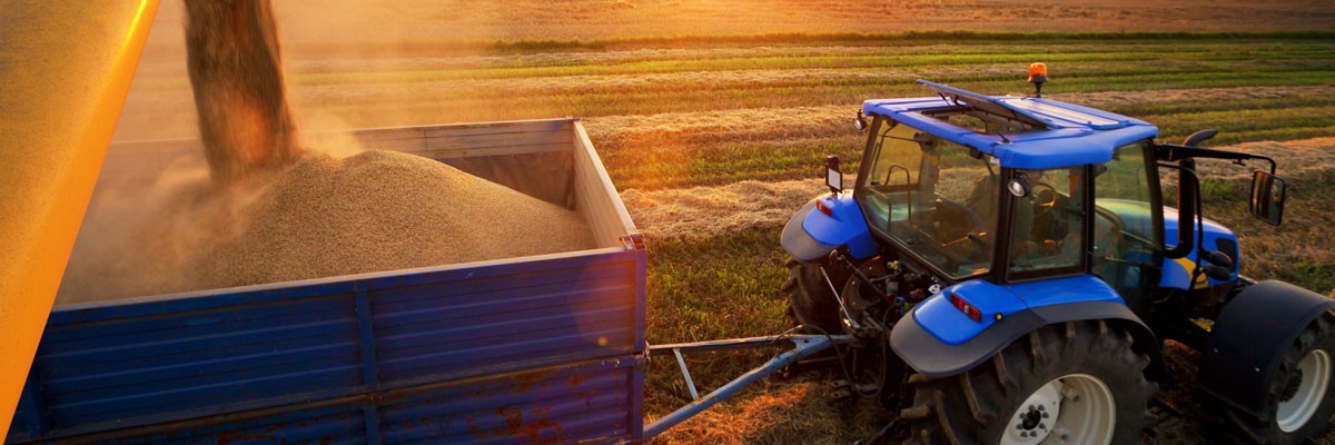 View of farming equipment in field