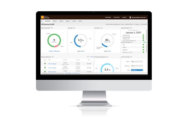 Professionals collaborating with each other