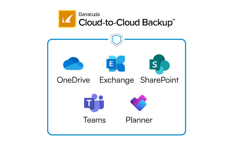 Teammates working together at the office