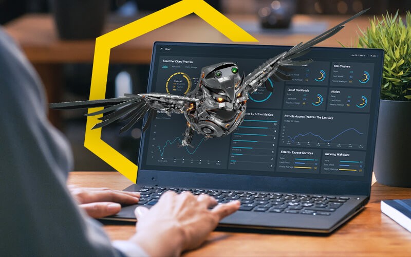 Person using laptop with mechanical owl image