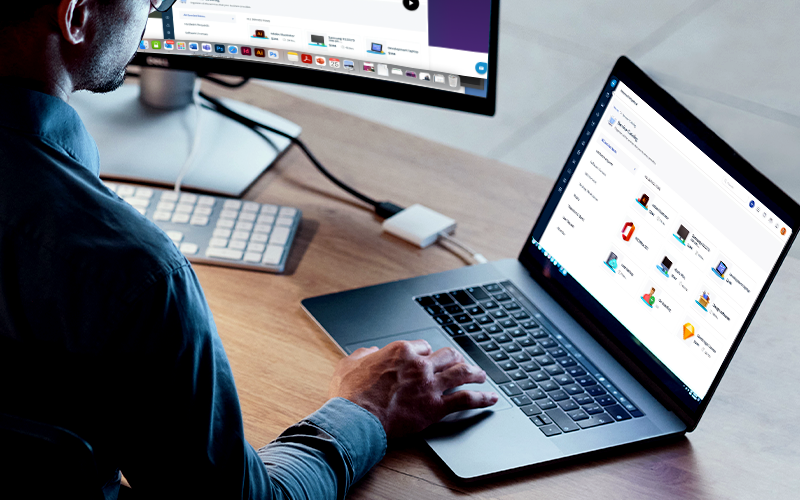 Professional using laptop