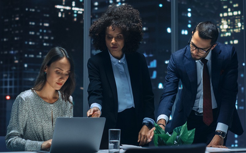 Professionals collaborating