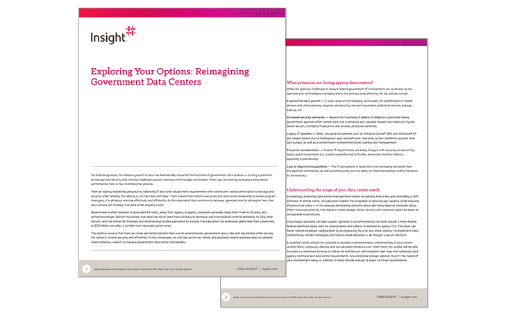Exploring Your Options: Reimaginging Government Data Centers whitepaper thumbnail